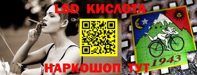 шишки Будённовск