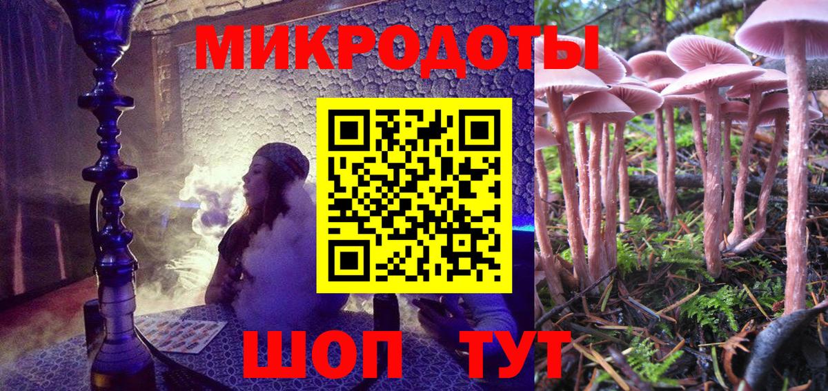 Псилоцибиновые грибы мицелий Усть-Кут