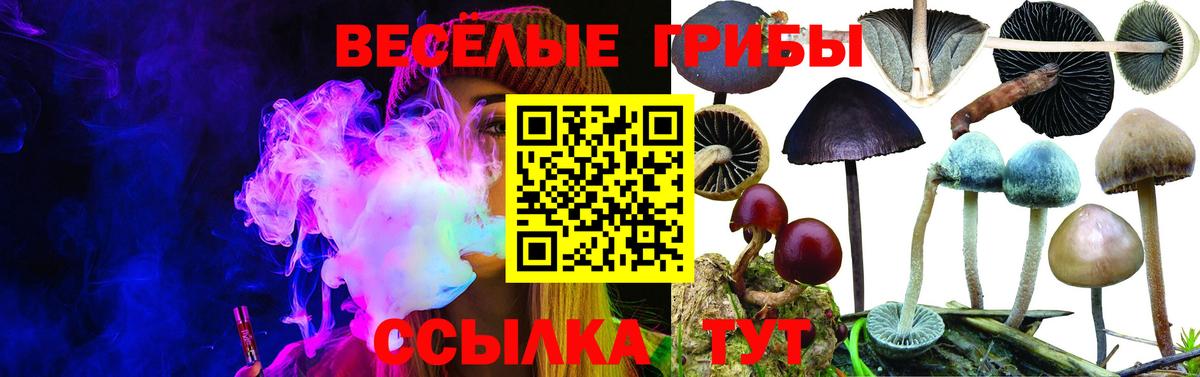 Галлюциногенные грибы Psilocybine cubensis  Вход с VPN  Усть-Кут  Галлюциногенные грибы Magic Shrooms 
